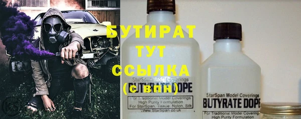 крисы Корсаков