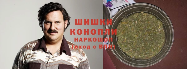 крисы Корсаков