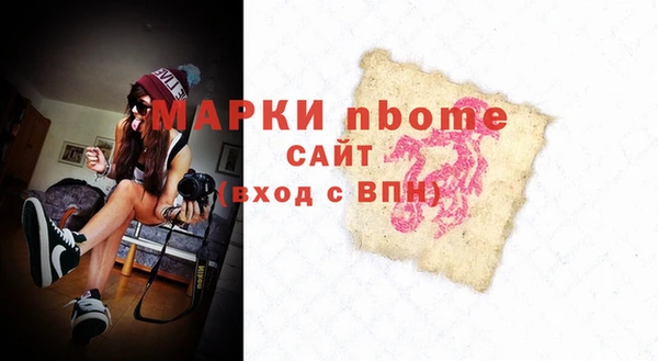 крисы Корсаков