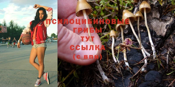 кокаин премиум Коряжма