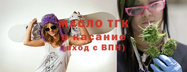крисы Корсаков