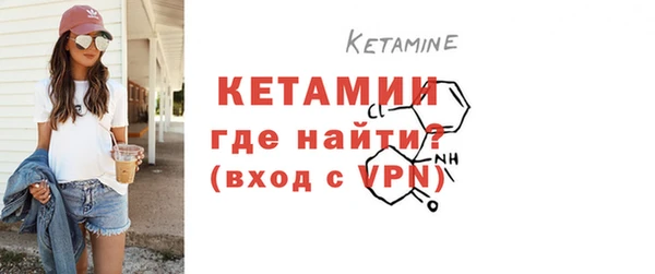 крисы Корсаков