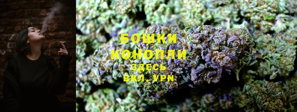крисы Корсаков