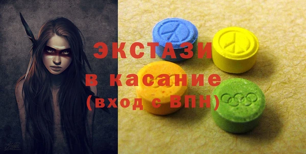 крисы Корсаков