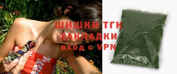 индика Санкт-Петербург