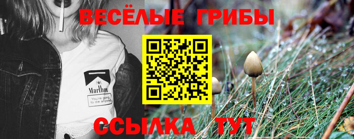 Миасс  Галлюциногенные грибы Cubensis  Галлюциногенные грибы Psilocybe  Вход с VPN 