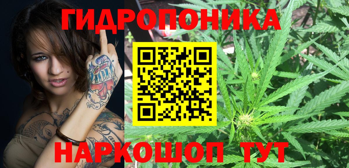 Каннабис  MDMA  Вход с VPN  Ешки  Миасс  Мефедрон  Ляпка  Кокаин  Мяу-Мяу 